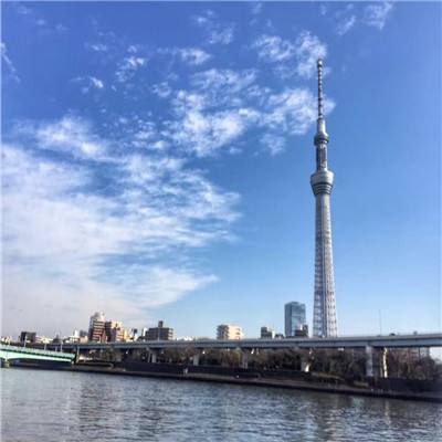 全民挂机破解版下载